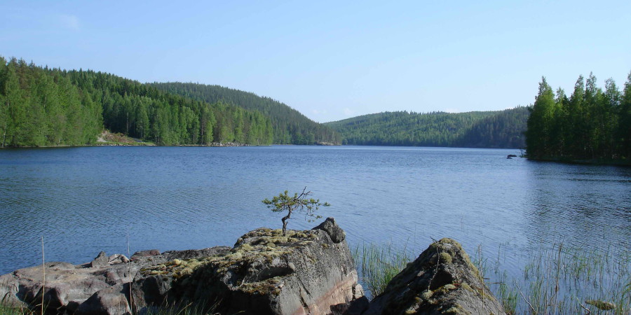 Lake panorama