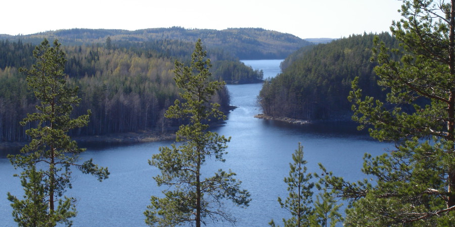 Lake Saimaa landscape